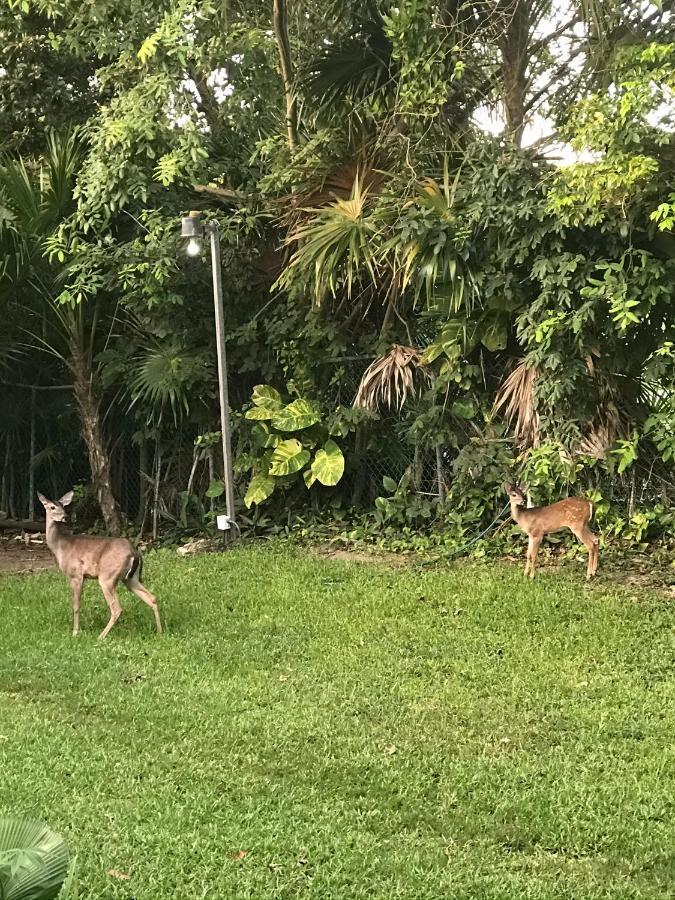 Villa Coba Playa del Carmen Kültér fotó